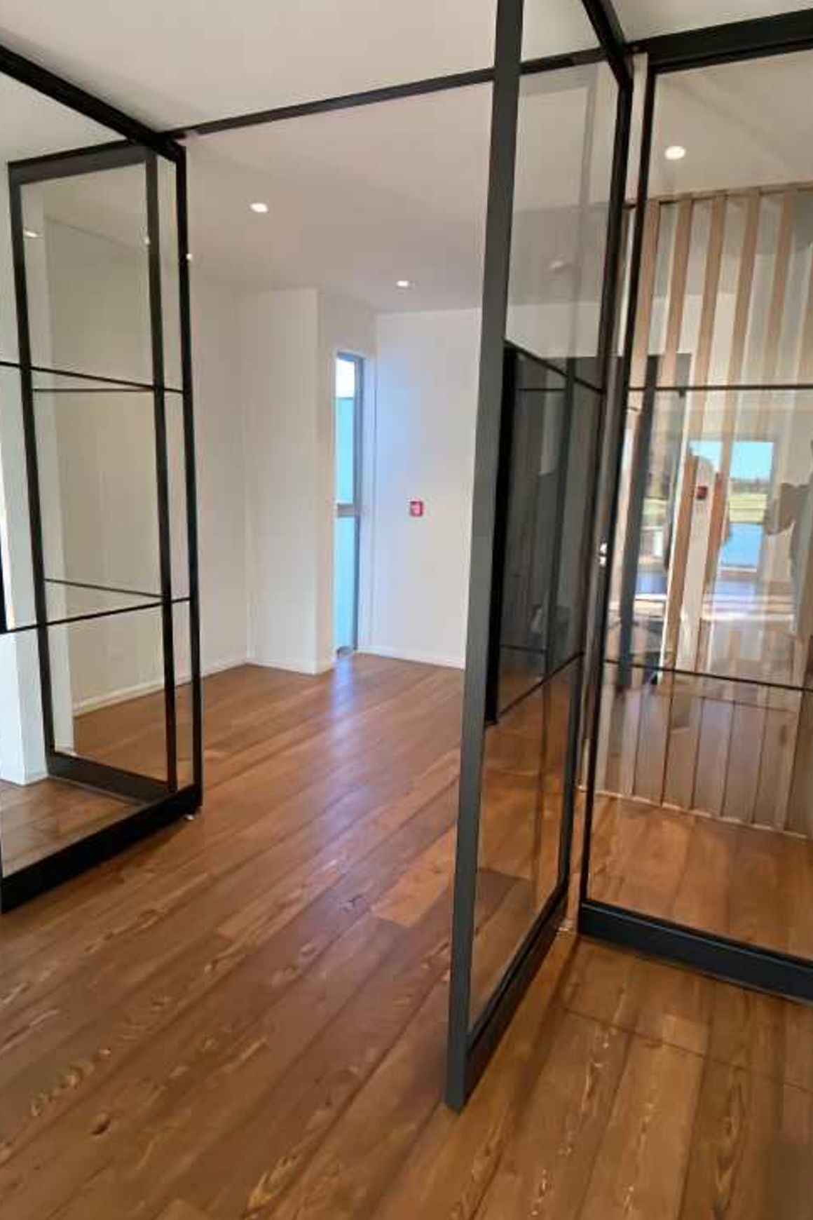 Pivot Steel Doors