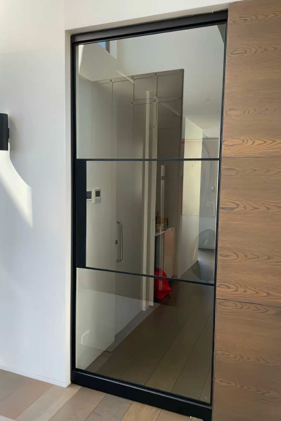 Pivot Steel Doors