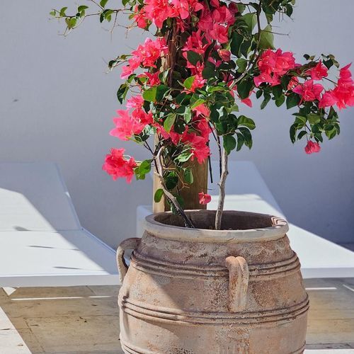 Riversland - 3 Handle Urn