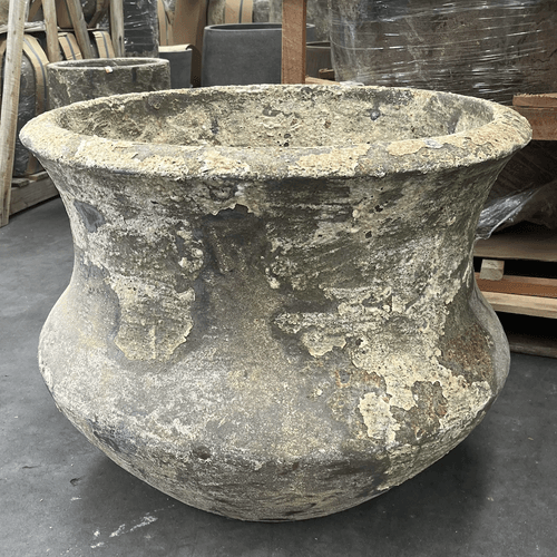 Atlantis  - Lotus Pond Planter