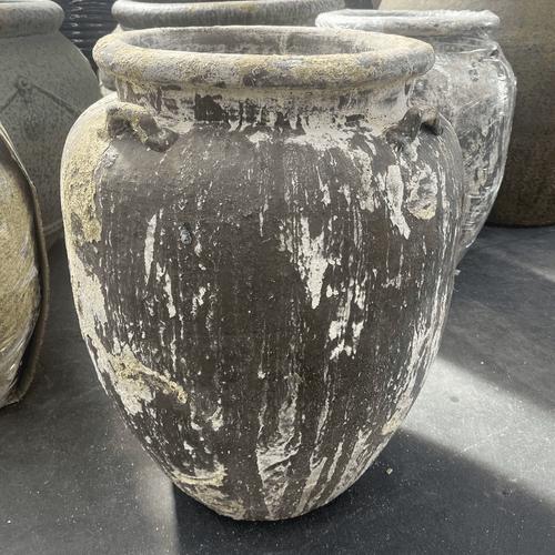 Atlantis - Nimo Planter w/ lugs