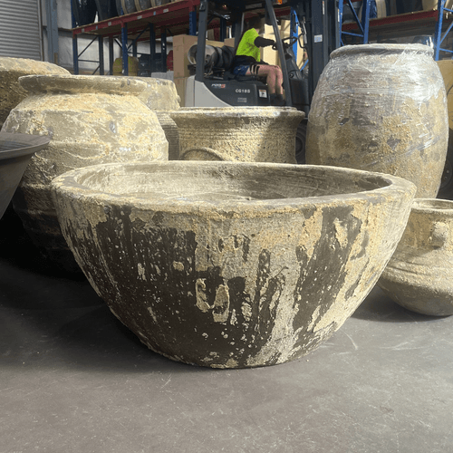 Atlantis - Herb Garden Bowl