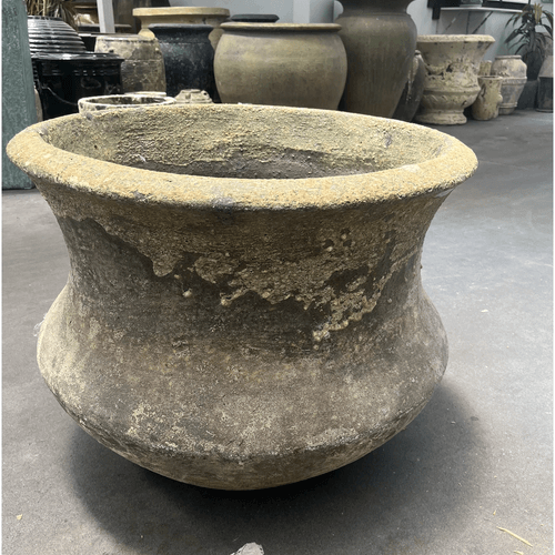 Atlantis  - Lotus Pond Planter