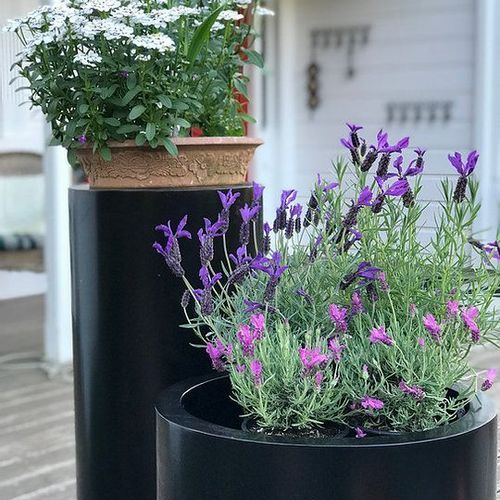 Black Cylinder 350 Planter