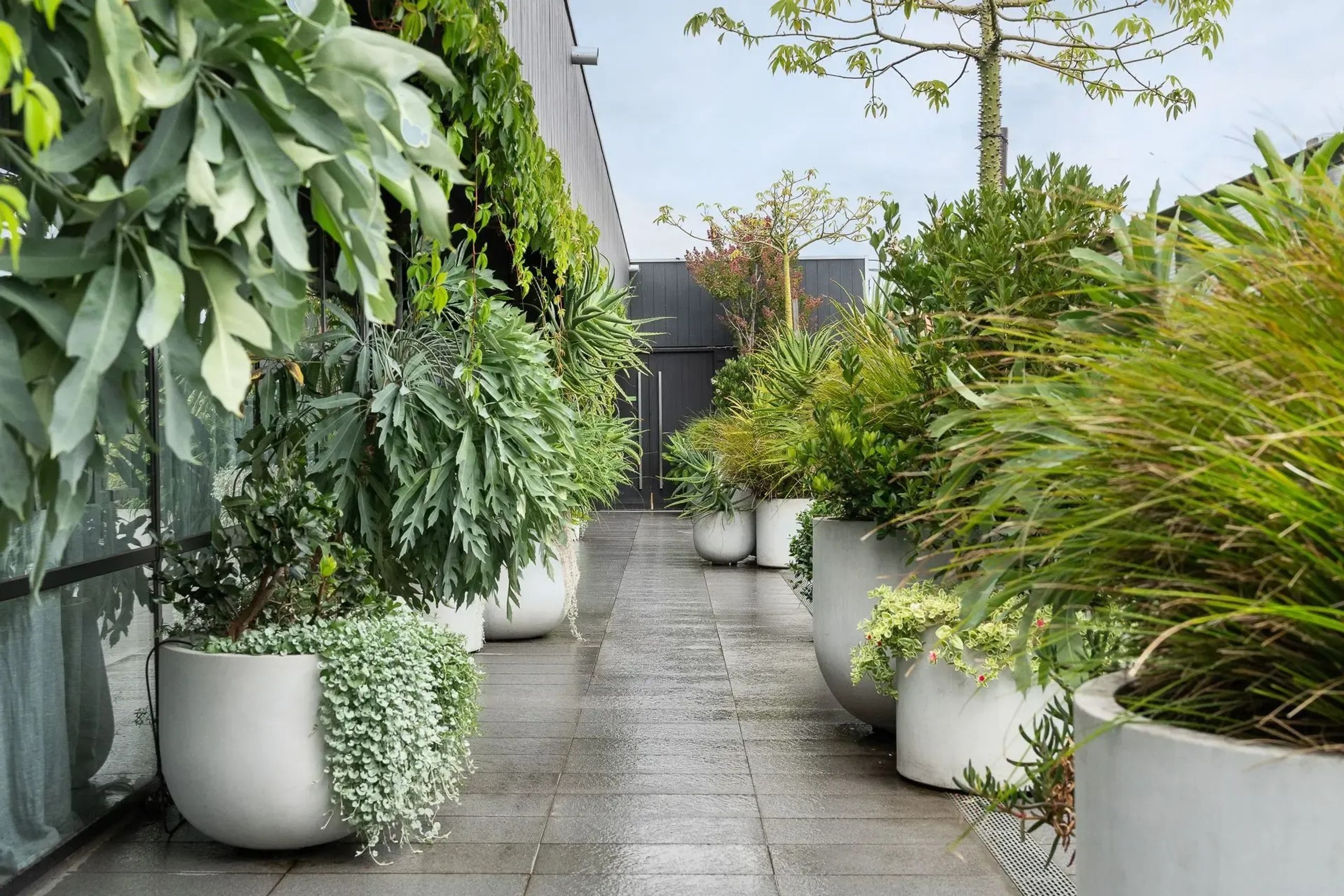 Urbis | Glass Fiber Reinforced Concrete Planters