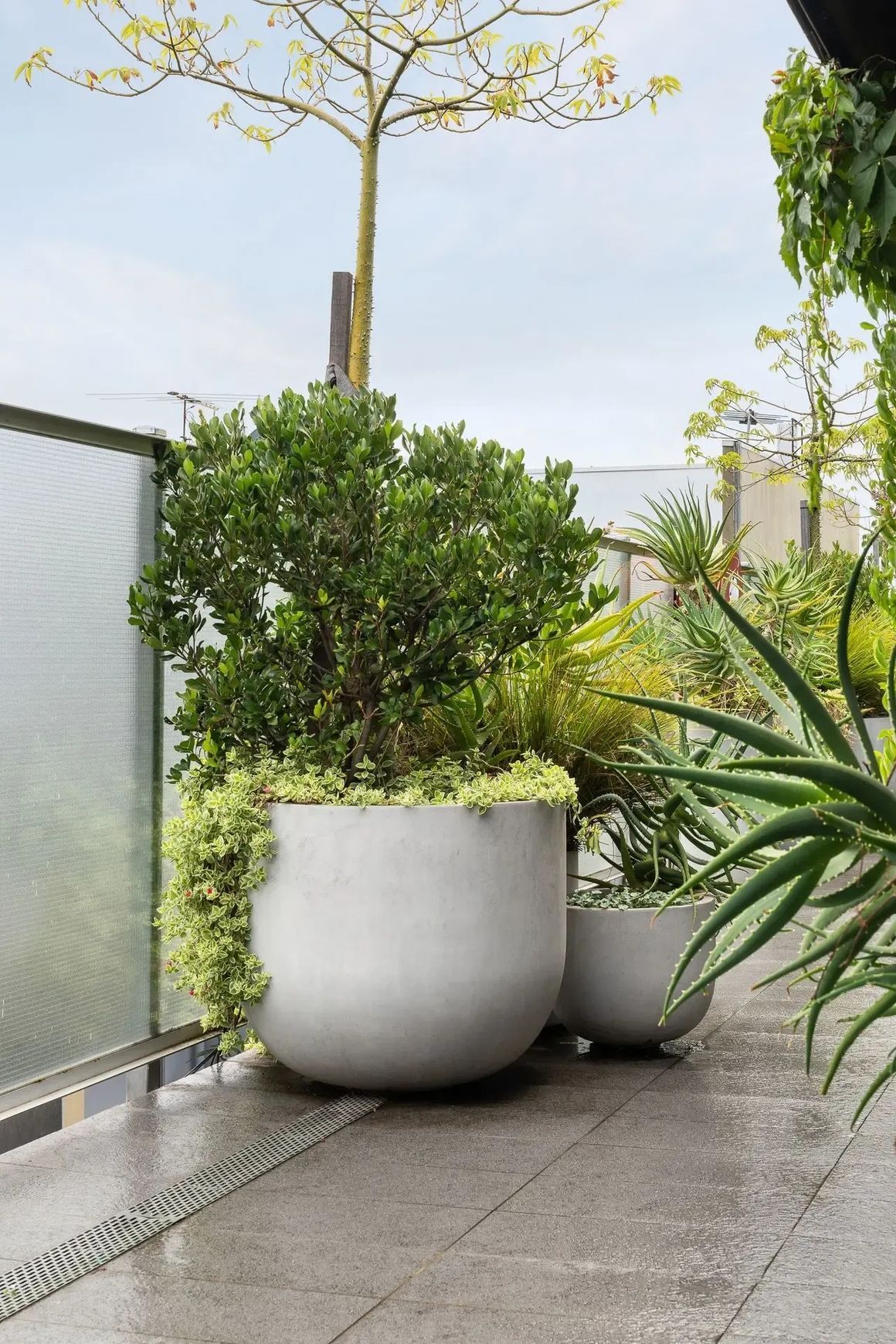 Urbis | Glass Fiber Reinforced Concrete Planters