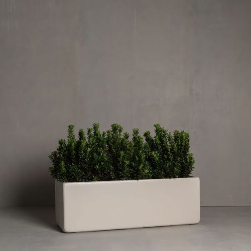 Hibernate Low Line Planters - Stone