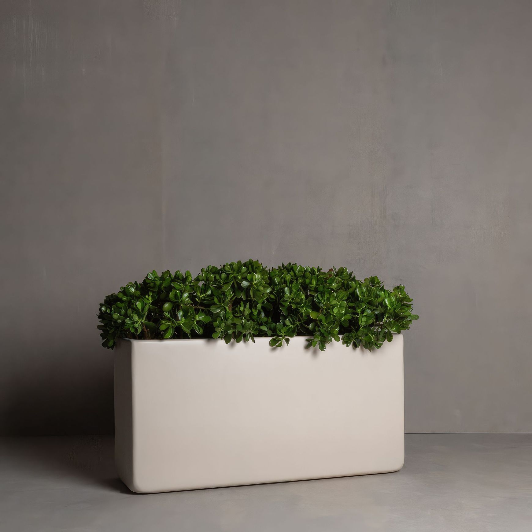 Hibernate Low Line Planters - Stone