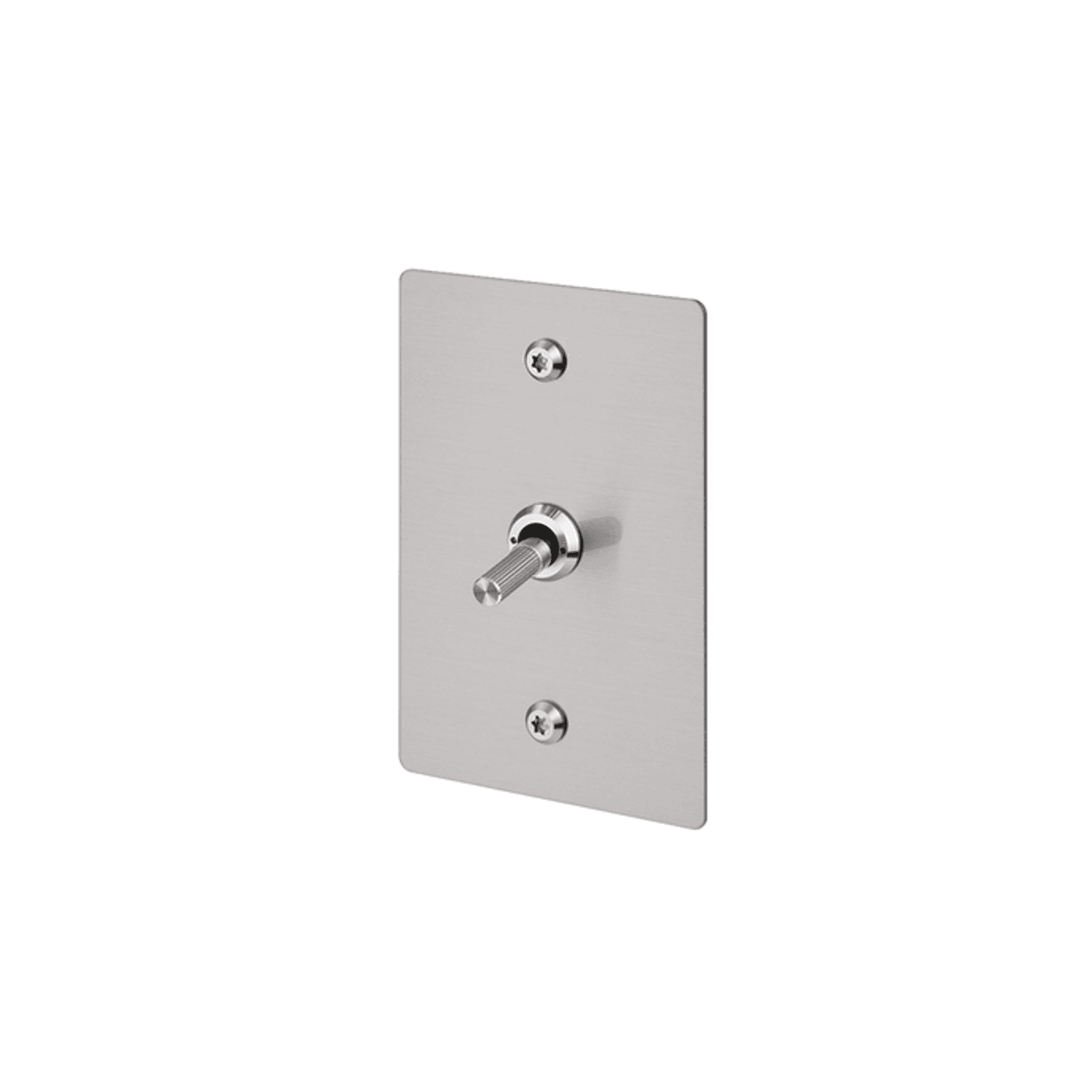 Buster + Punch 1G Toggle Vertical 2-Way Linear