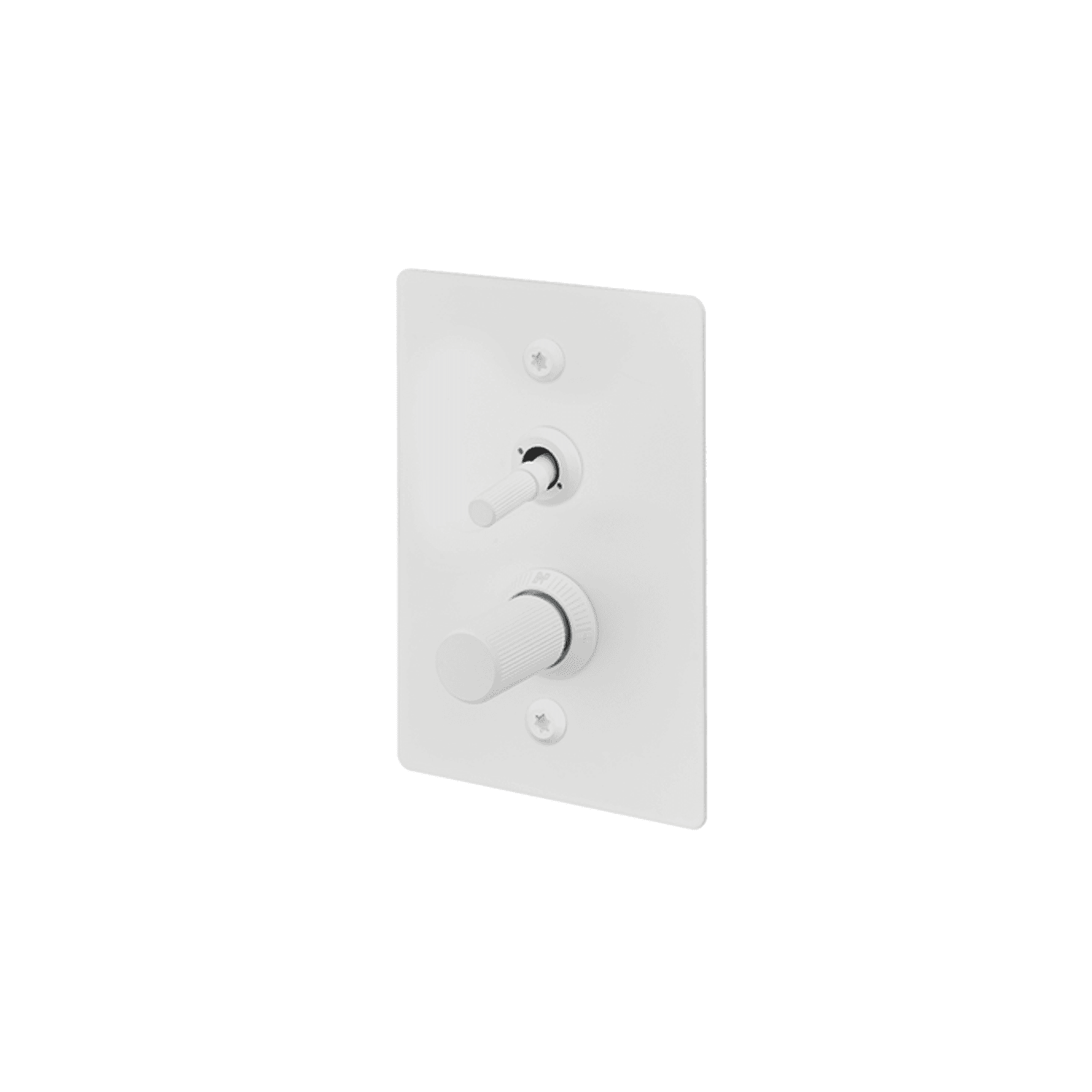 Buster + Punch 2G Toggle+Dimmer Vertical Linear