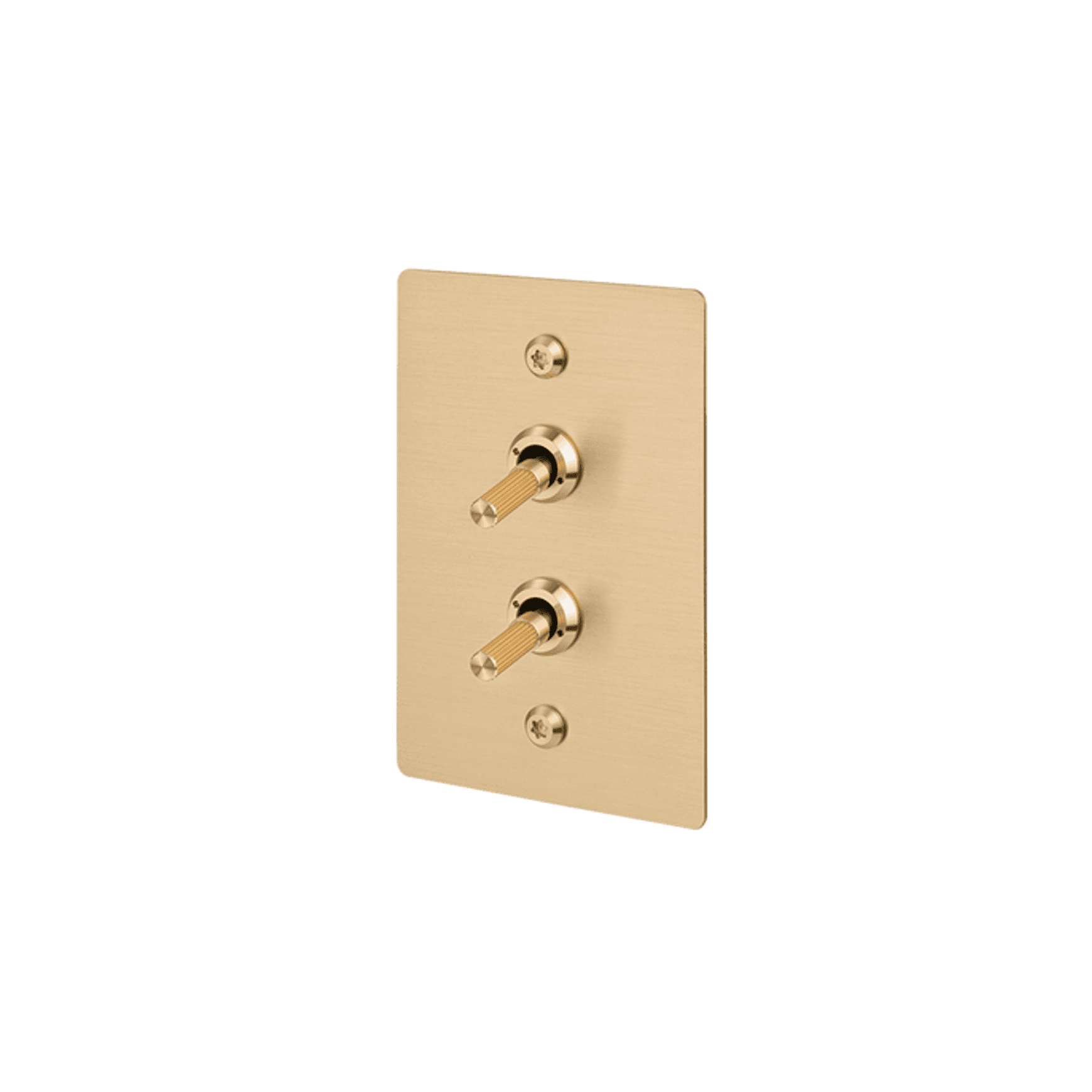 Buster + Punch 2G Toggle Vertical 2-Way Linear