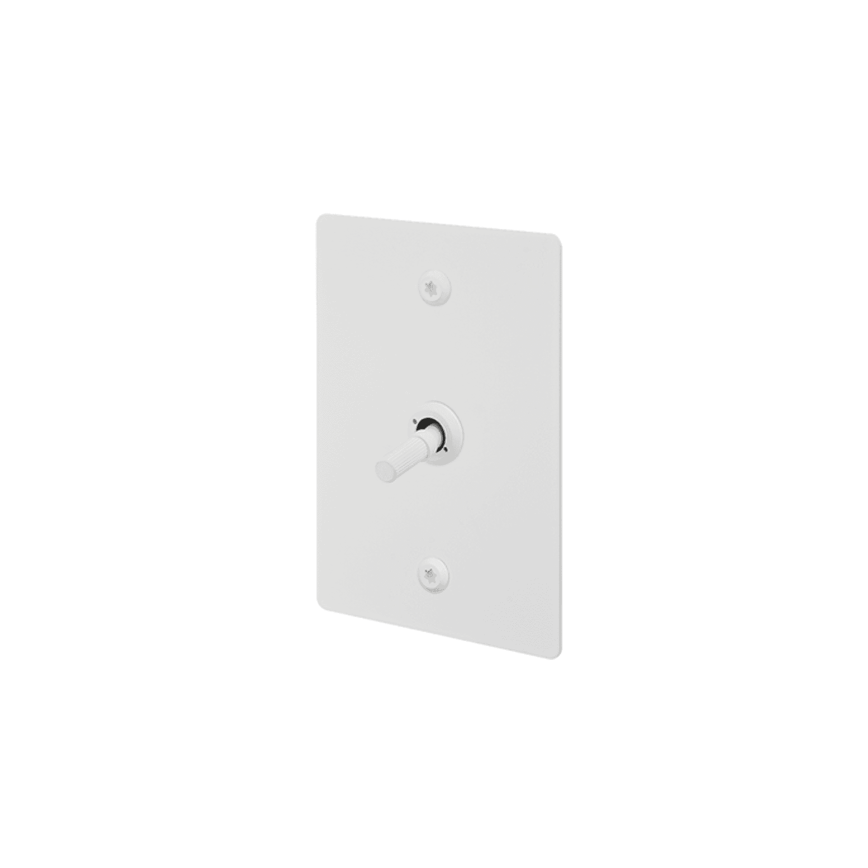 Buster + Punch 1G Toggle Vertical 2-Way Linear