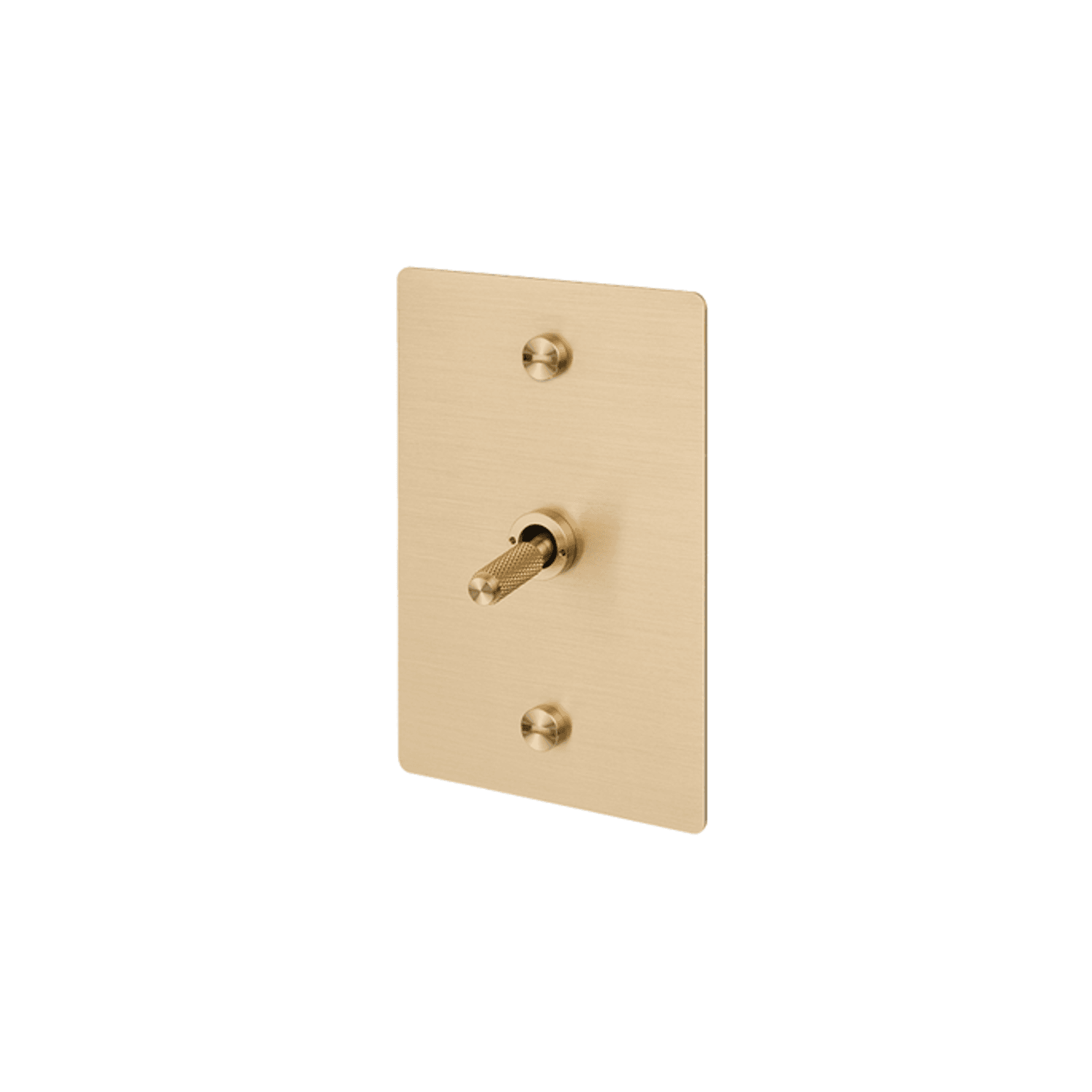 Buster + Punch 1G Toggle Vertical Retractive Cross