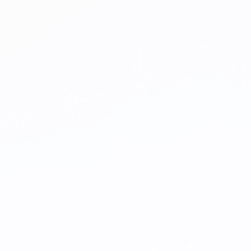 Super White Stone Slab | Superior Range