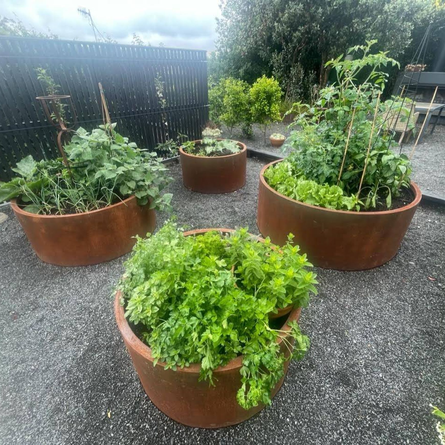 Bottomless Cylinder Planter