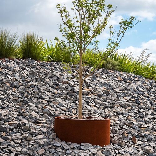 Bottomless Cylinder Planter