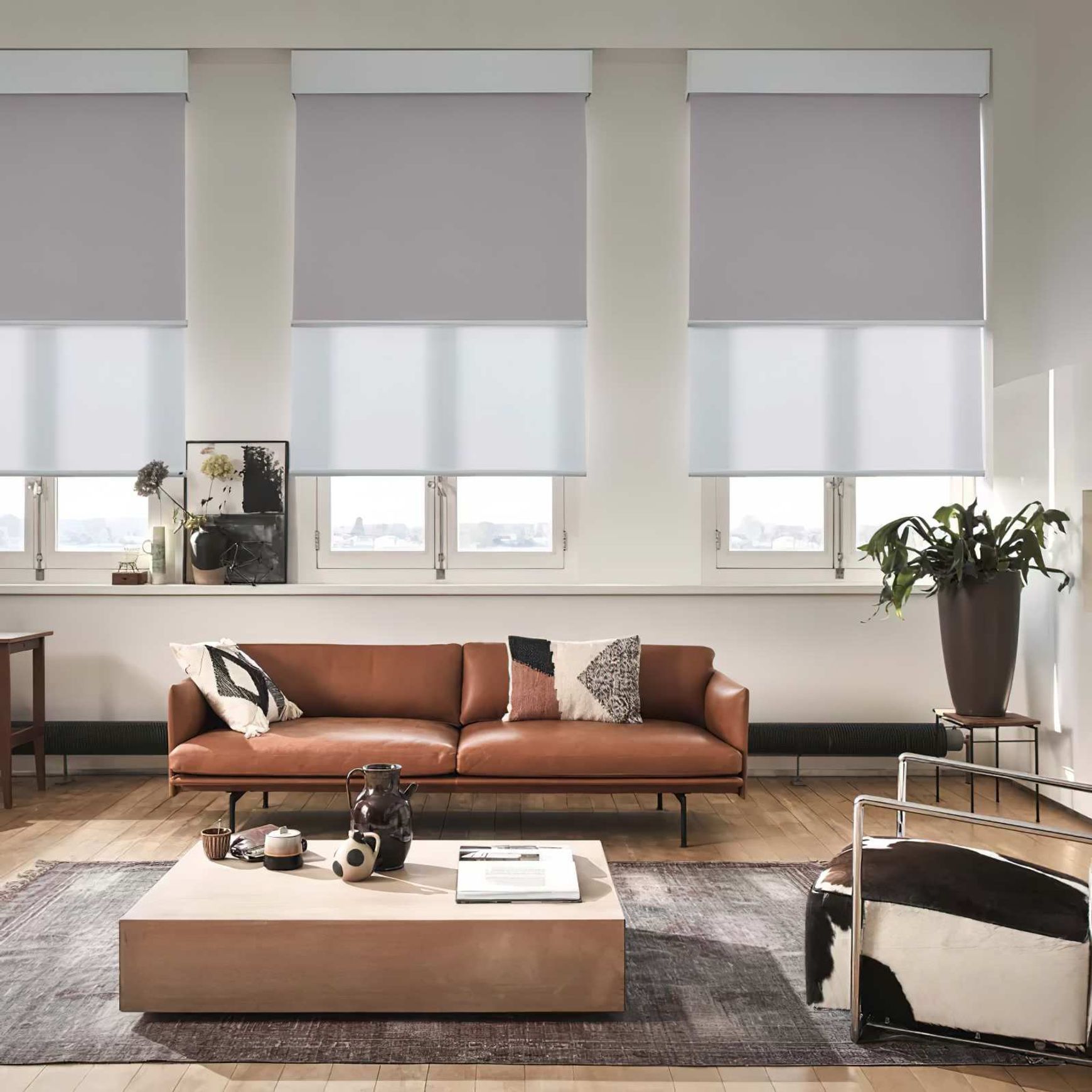 Roller Blinds & Sunscreens from Lahood
