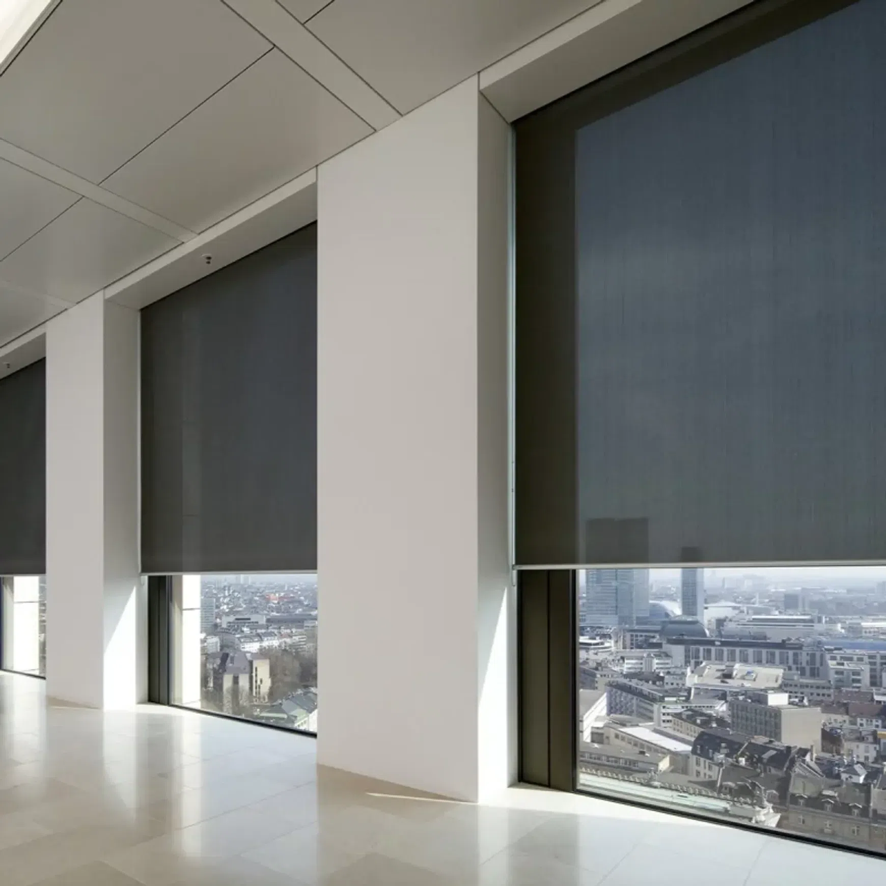 Lahood Educational Sunscreen Blinds
