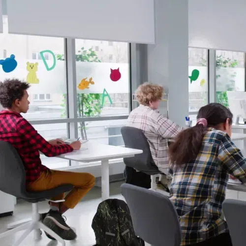 Lahood Educational Blockout Blinds