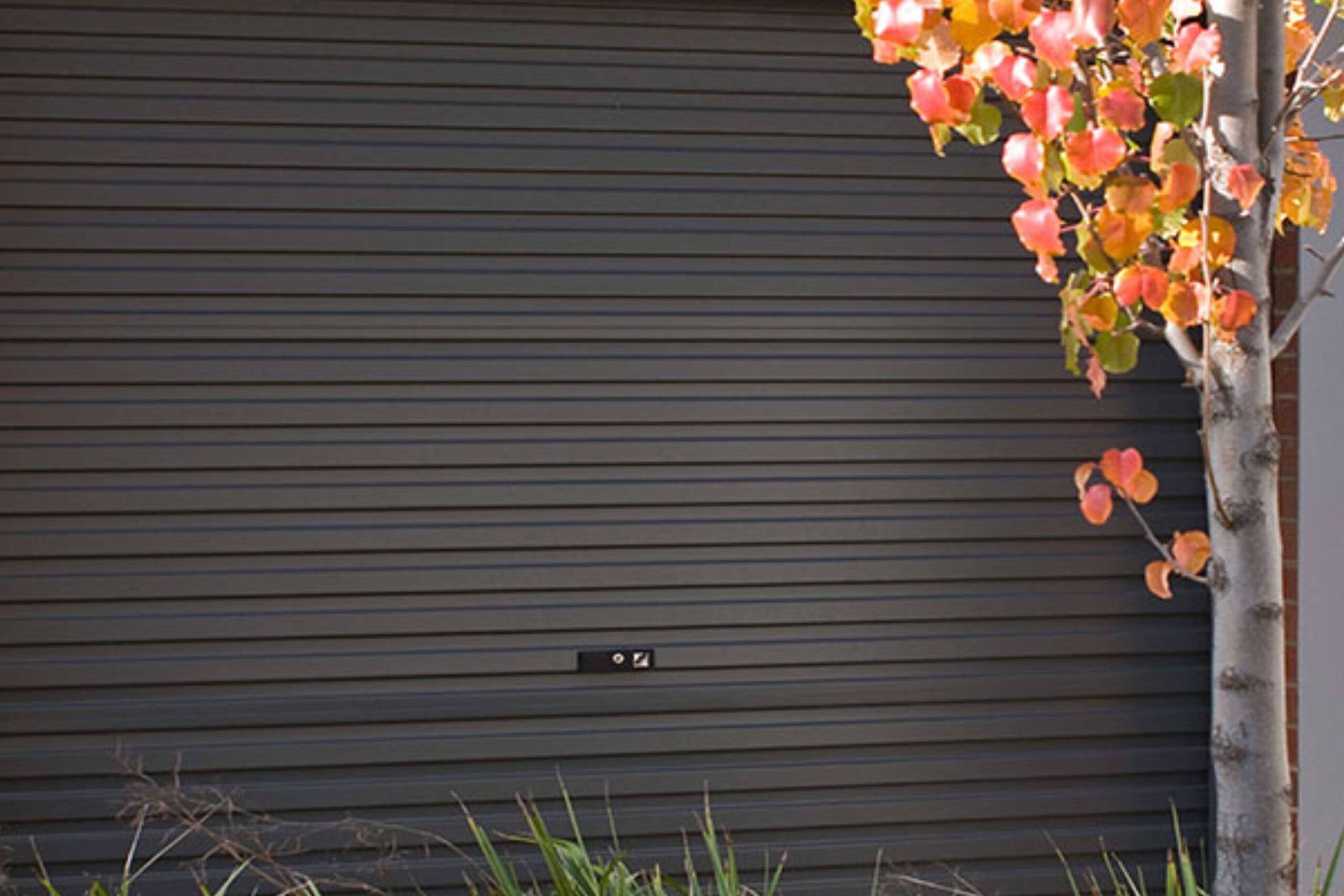 Roller Garage Doors