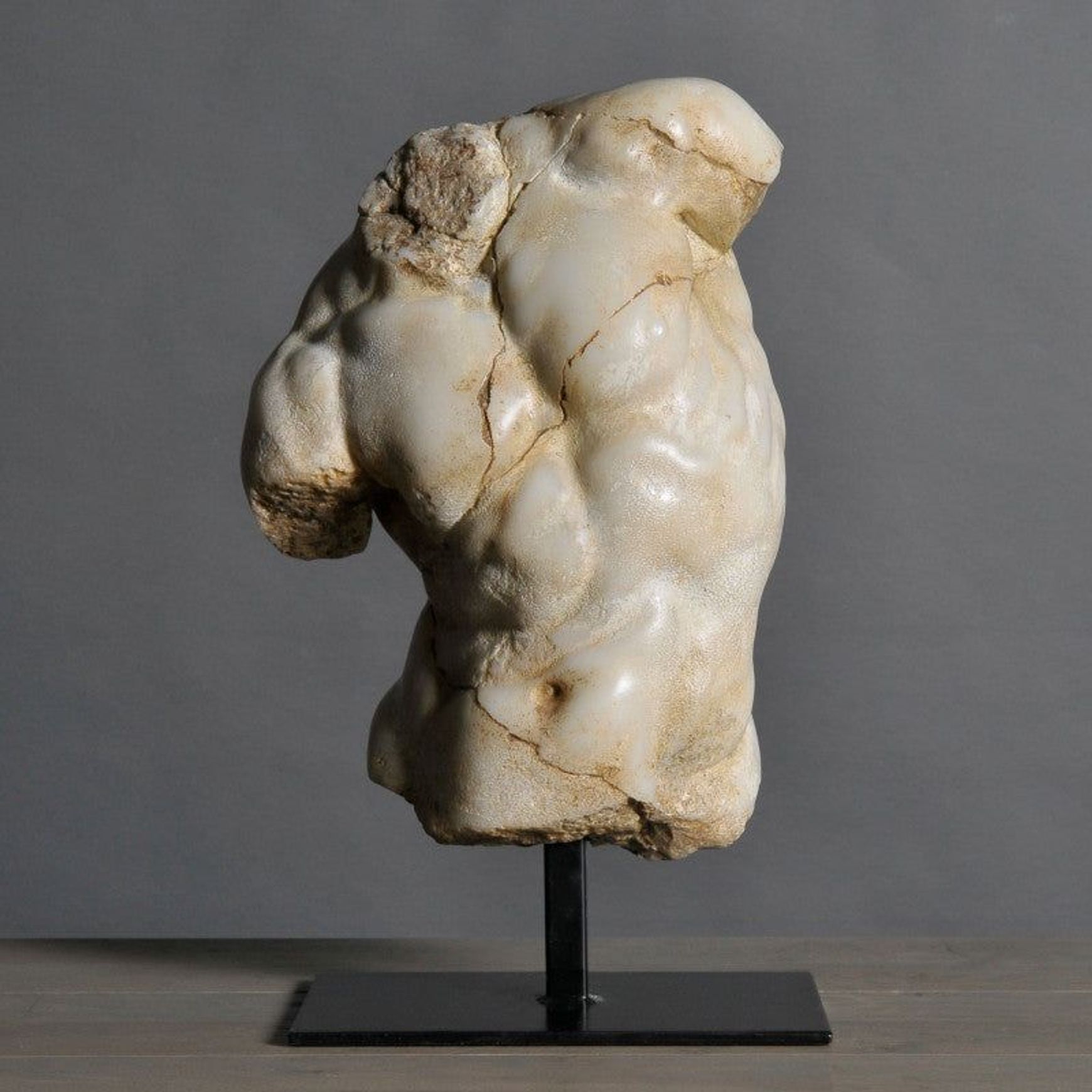 Apollo Torso