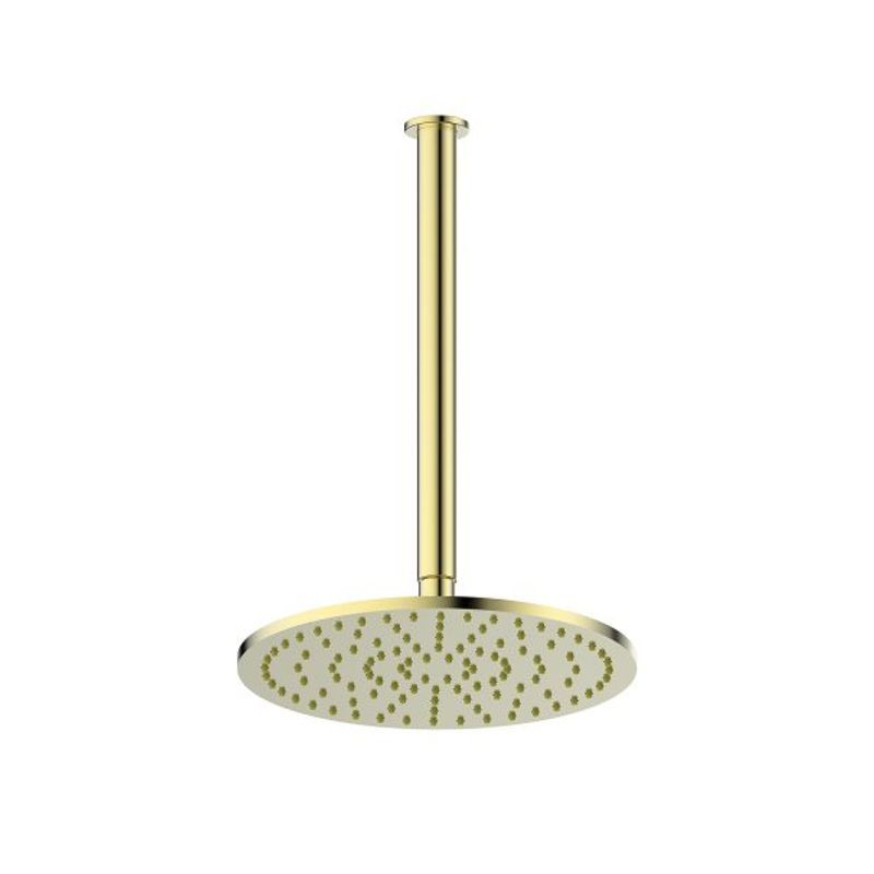 Lavish Brass Ceiling Shower