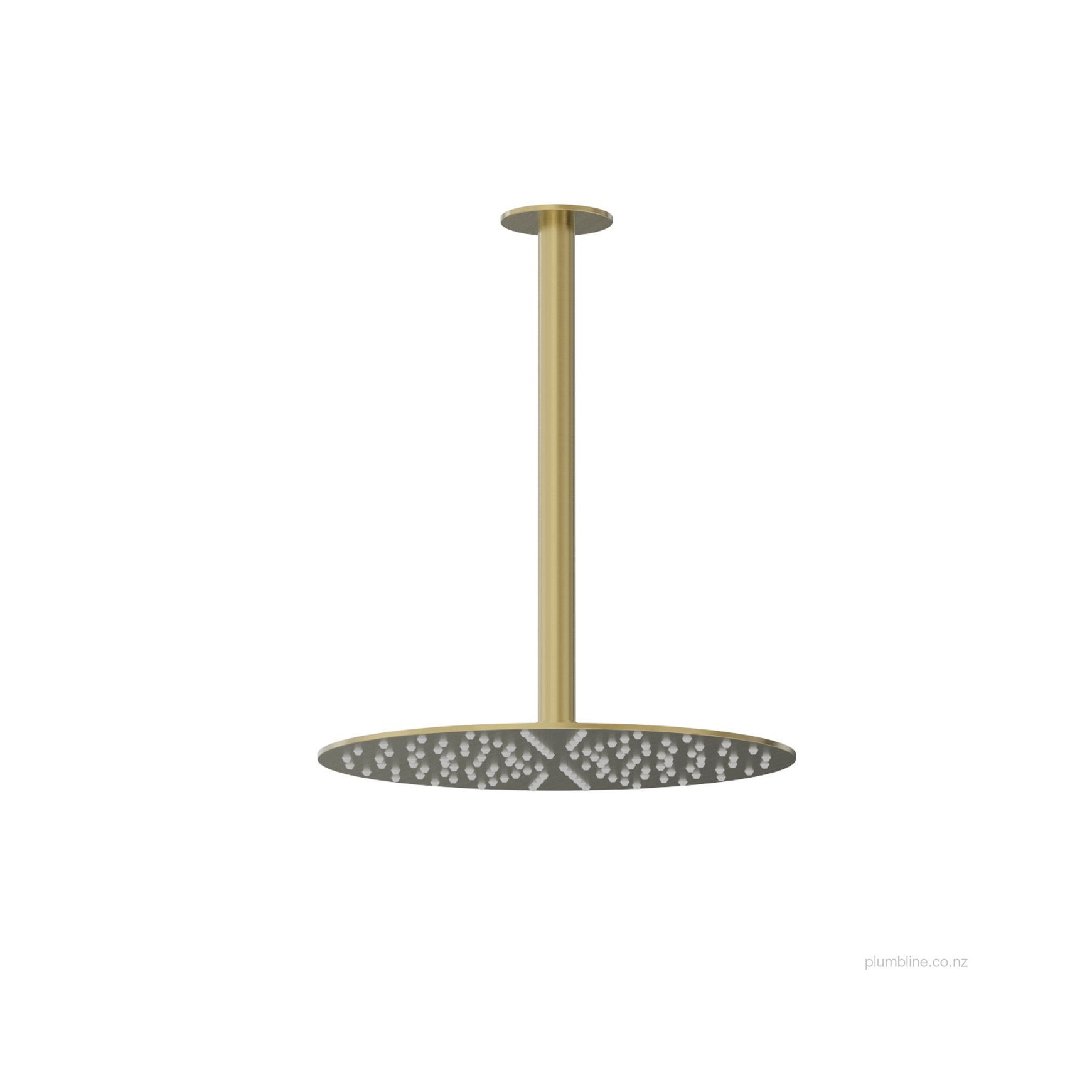 Oli 316 250mm Ceiling Mount Rainhead