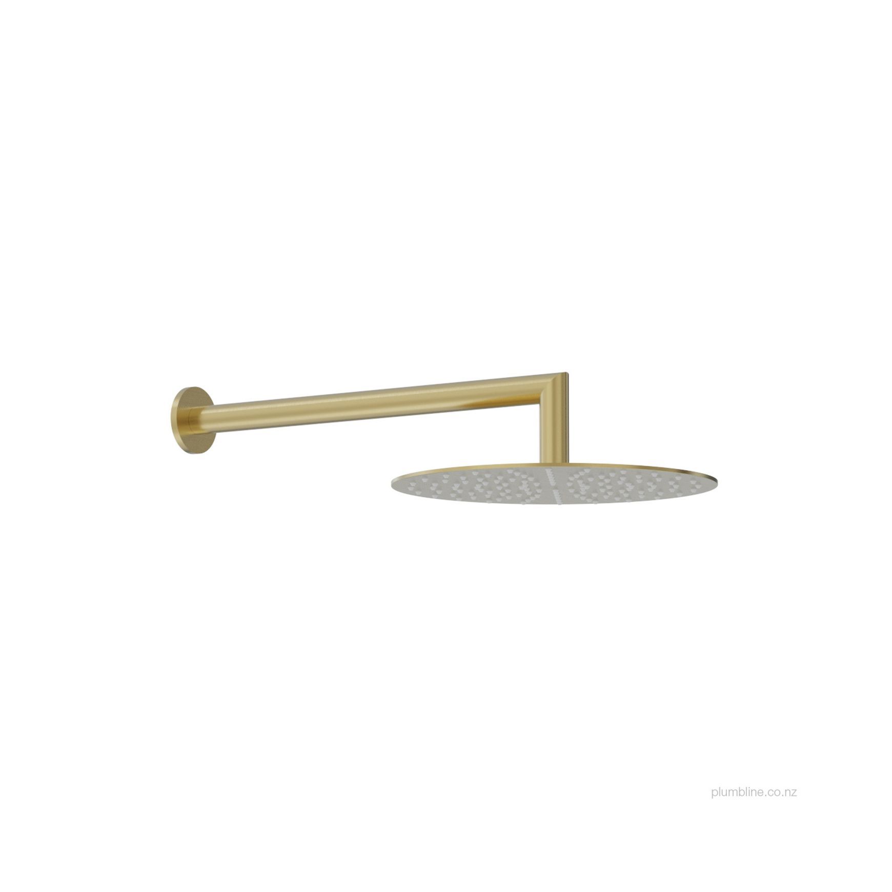 Oli 316 250mm Wall Mount Rainhead