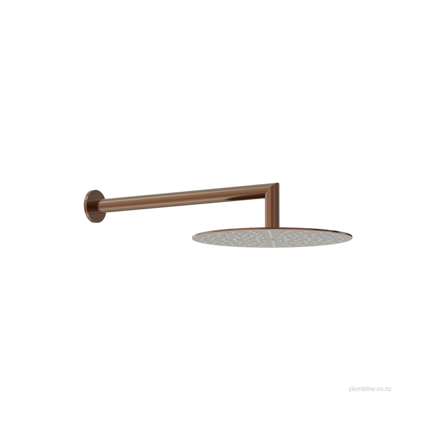 Oli 316 250mm Wall Mount Rainhead