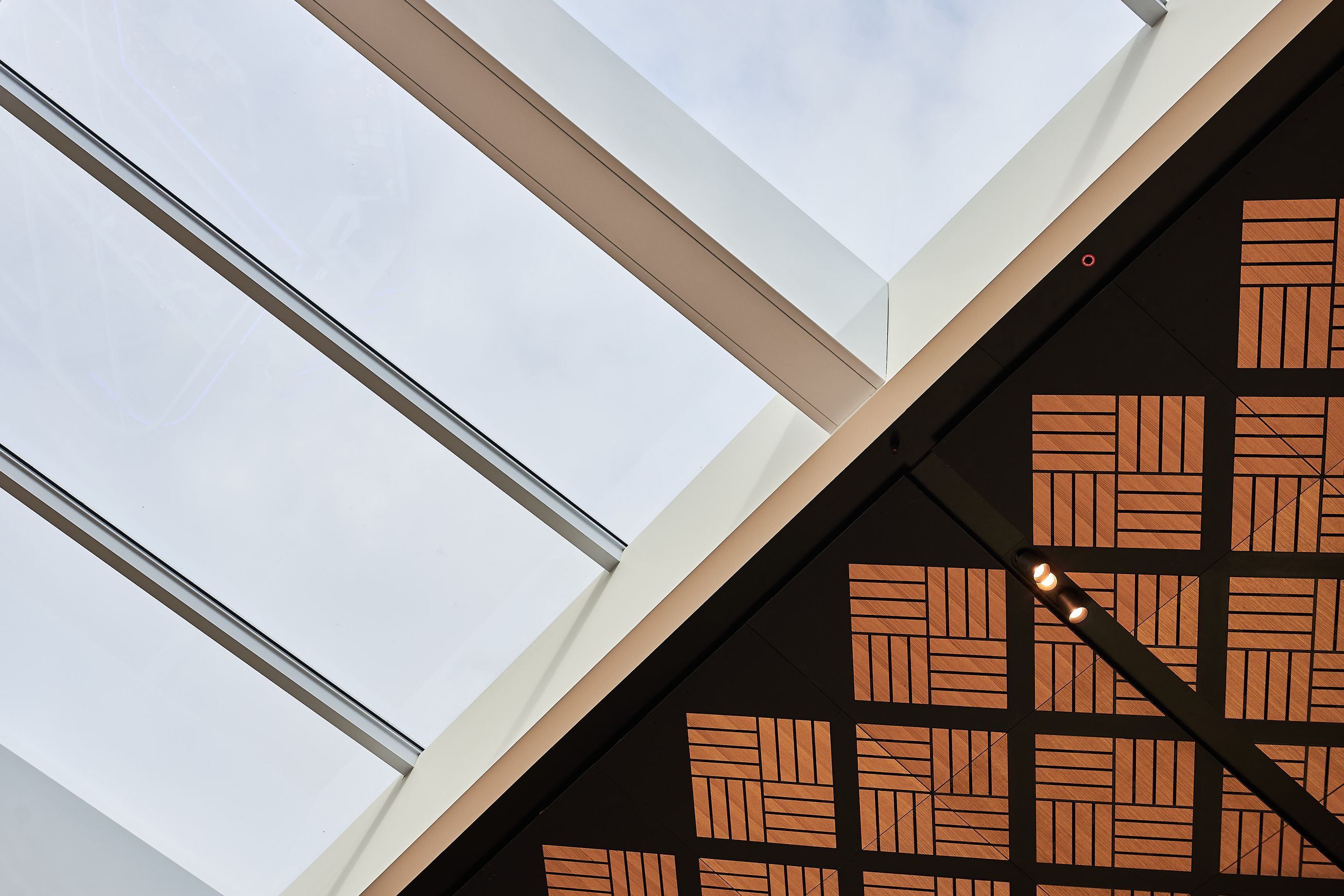 Skylign™ Alpha | Rooflights