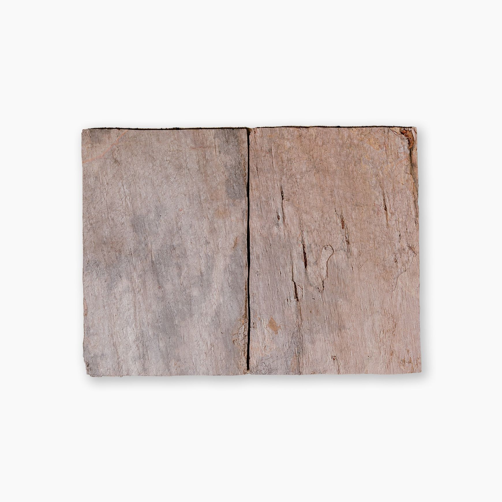 Raja | Slate