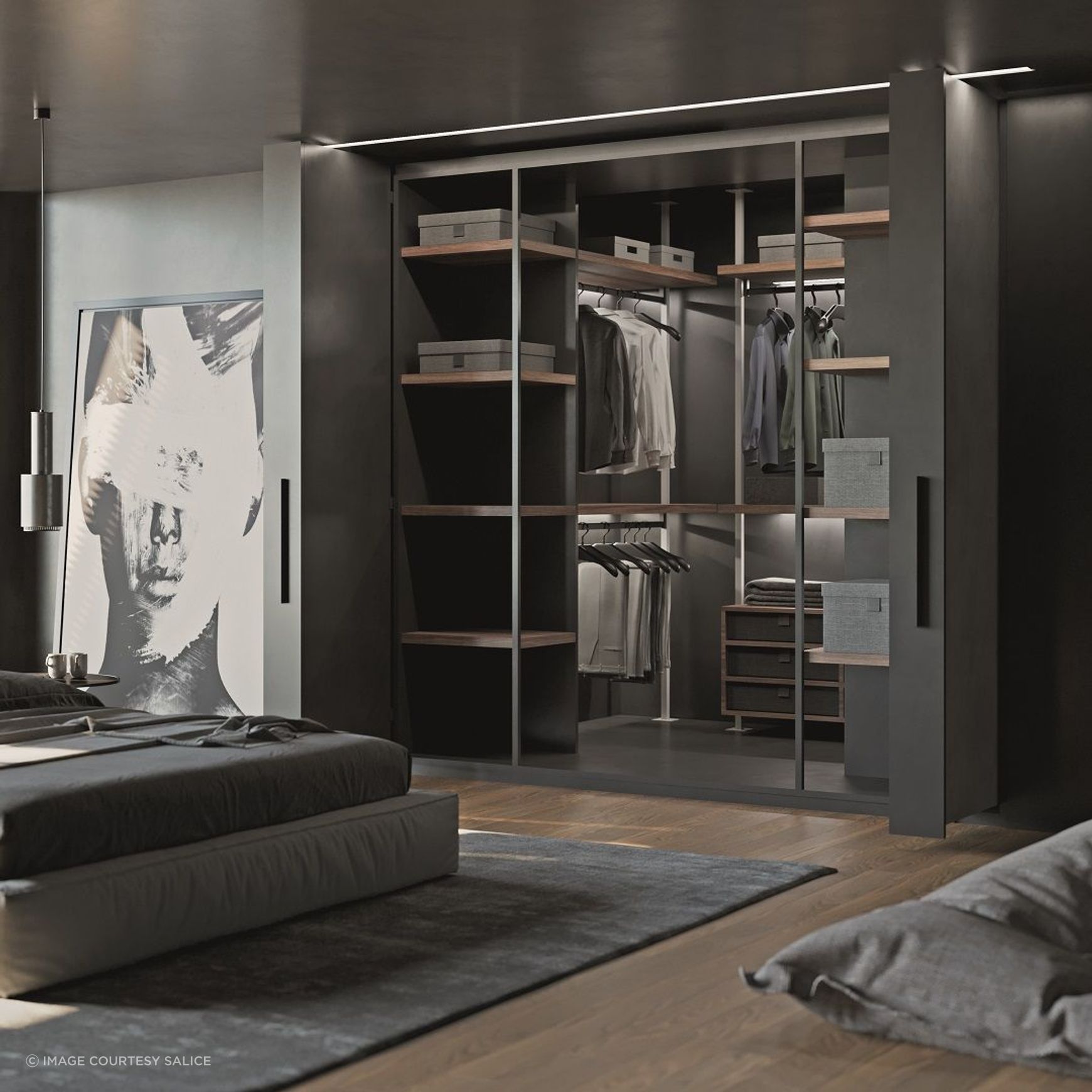 Salice Exedra2 Bifolding Pocket Door