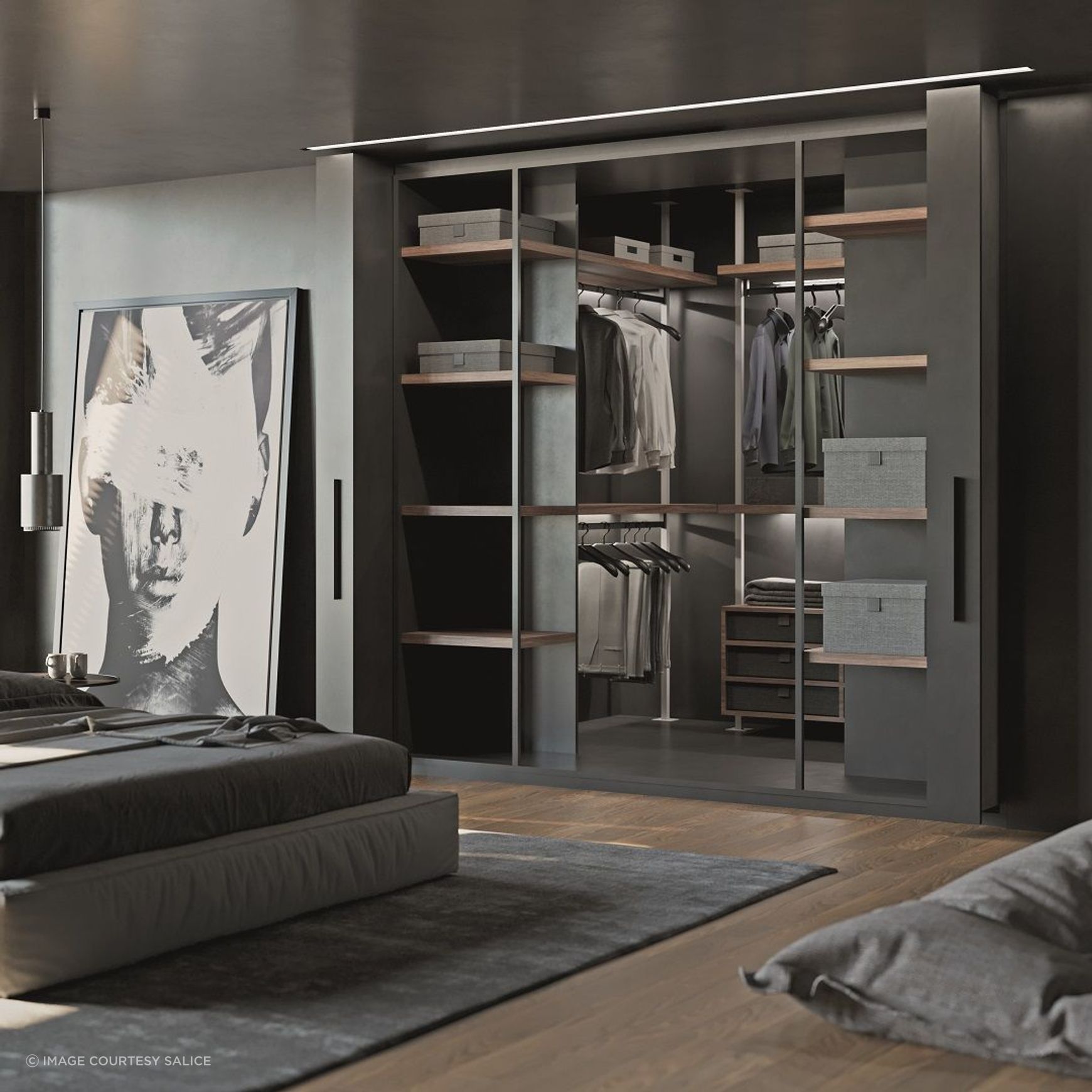 Salice Exedra2 Bifolding Pocket Door