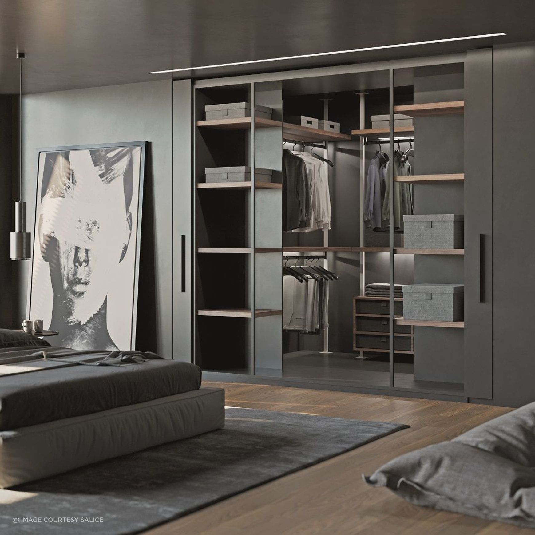 Salice Exedra2 Bifolding Pocket Door