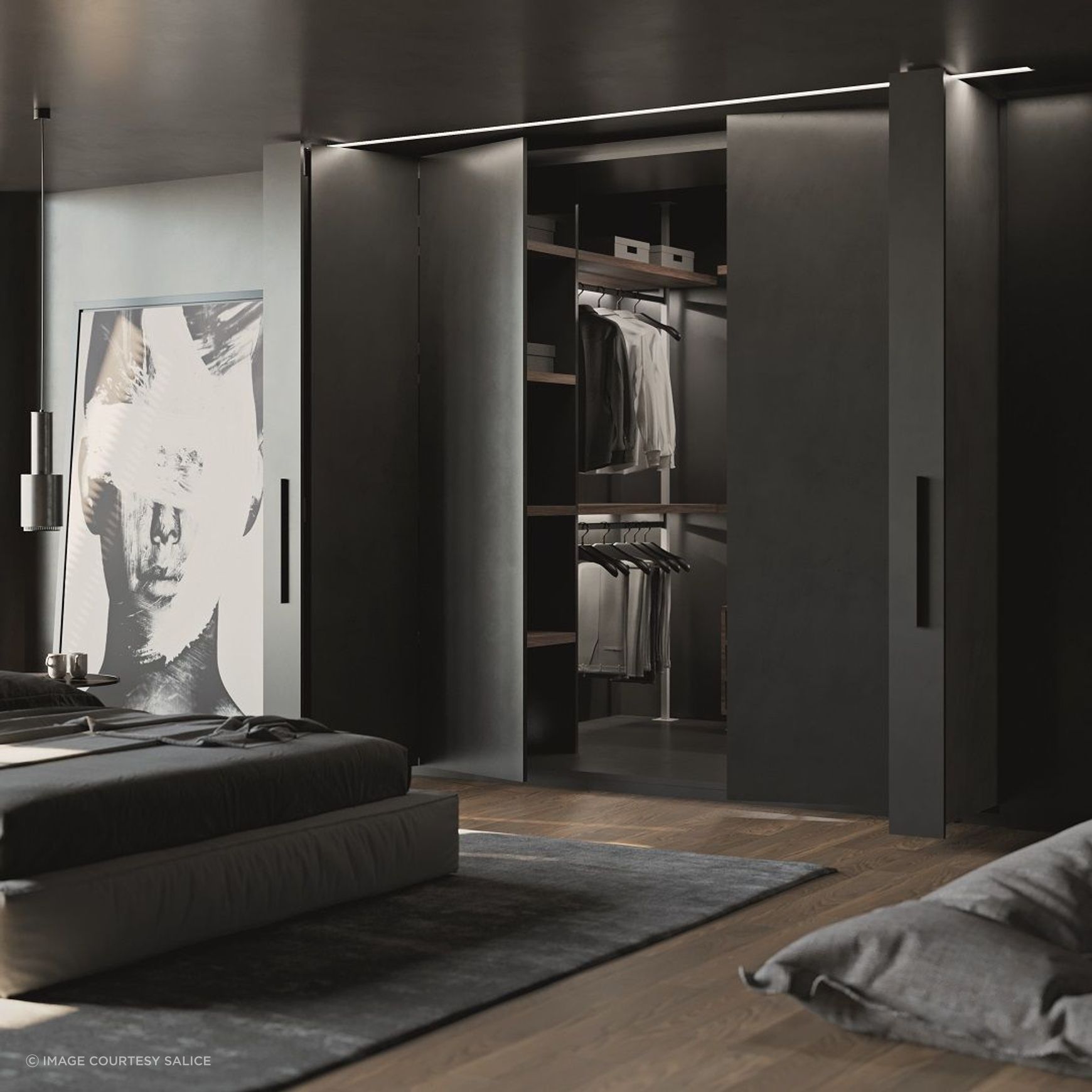 Salice Exedra2 Bifolding Pocket Door
