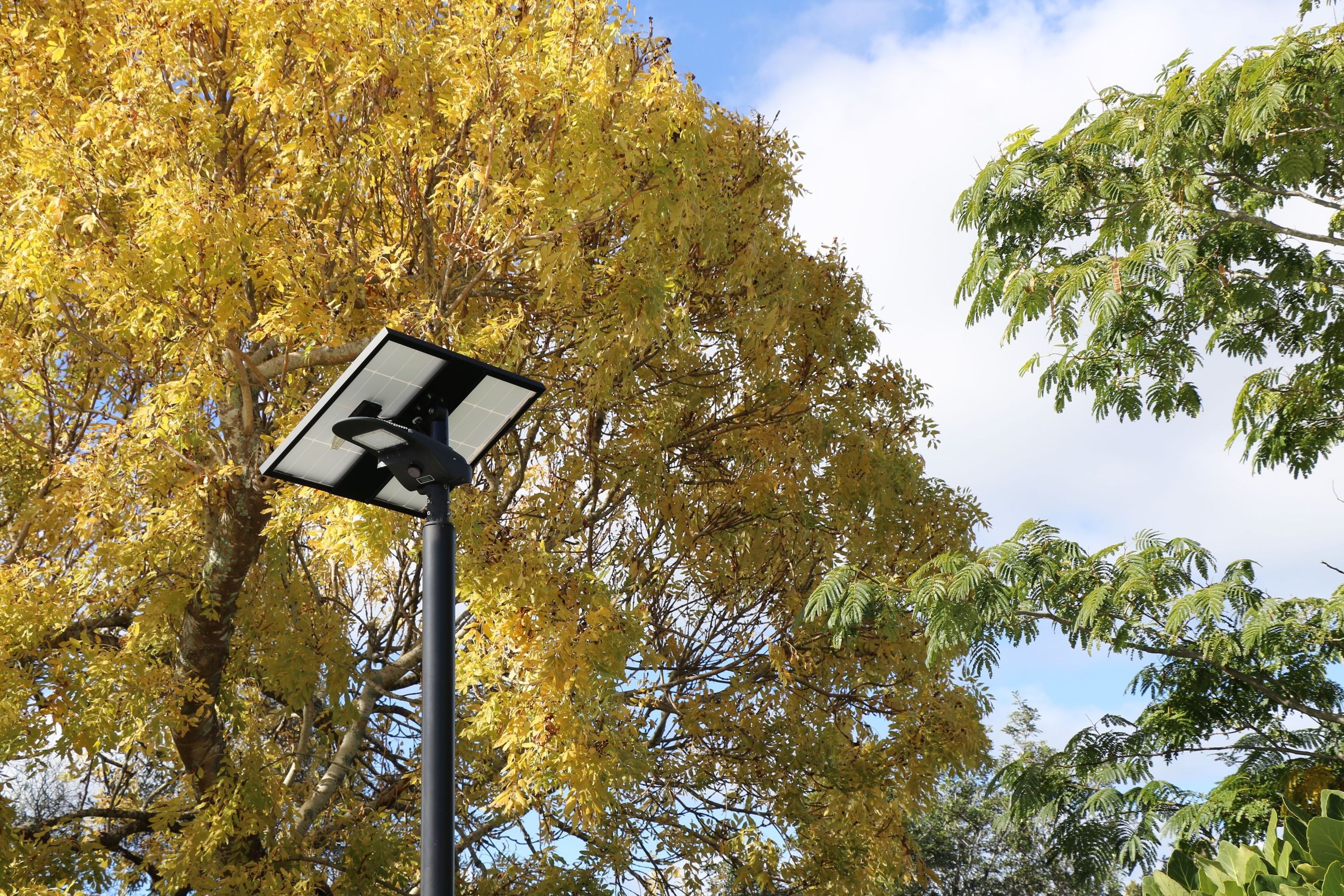 Pholum S3L Solar Street Light