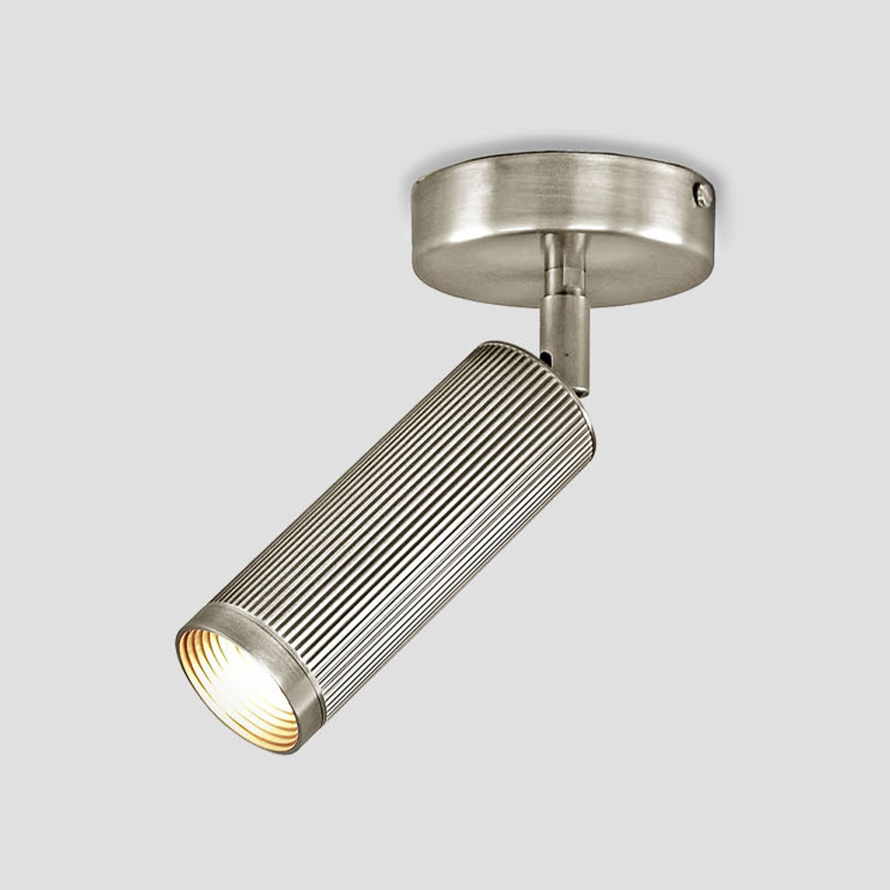 Spot Ceiling Light