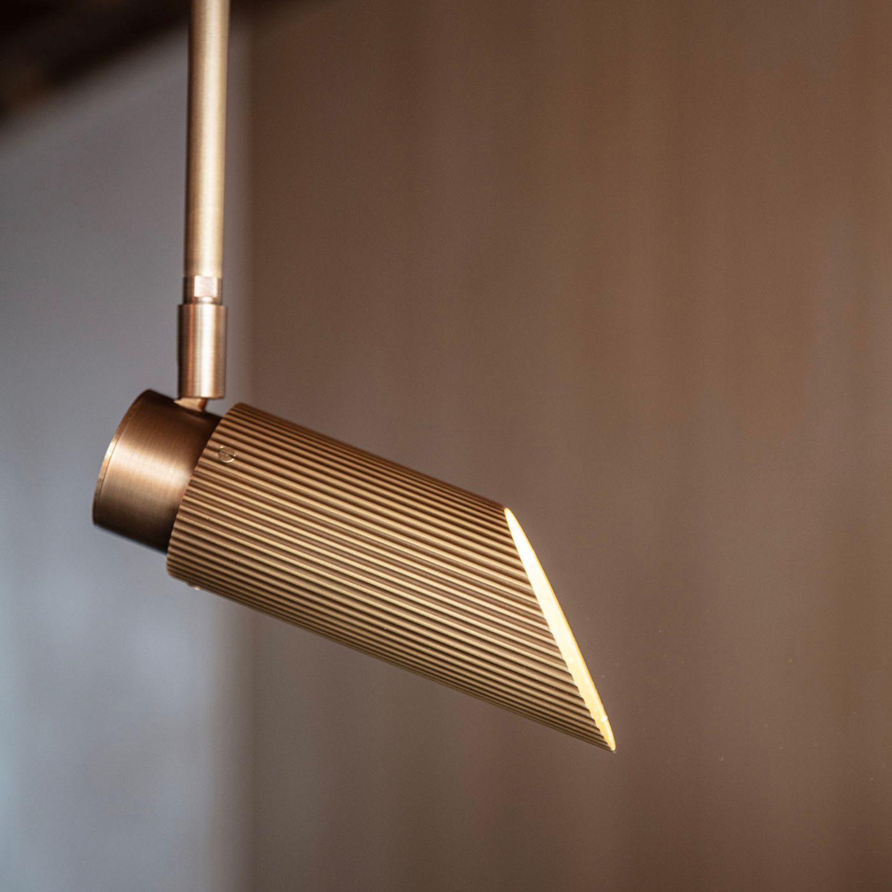 Spot Pro Ceiling Light