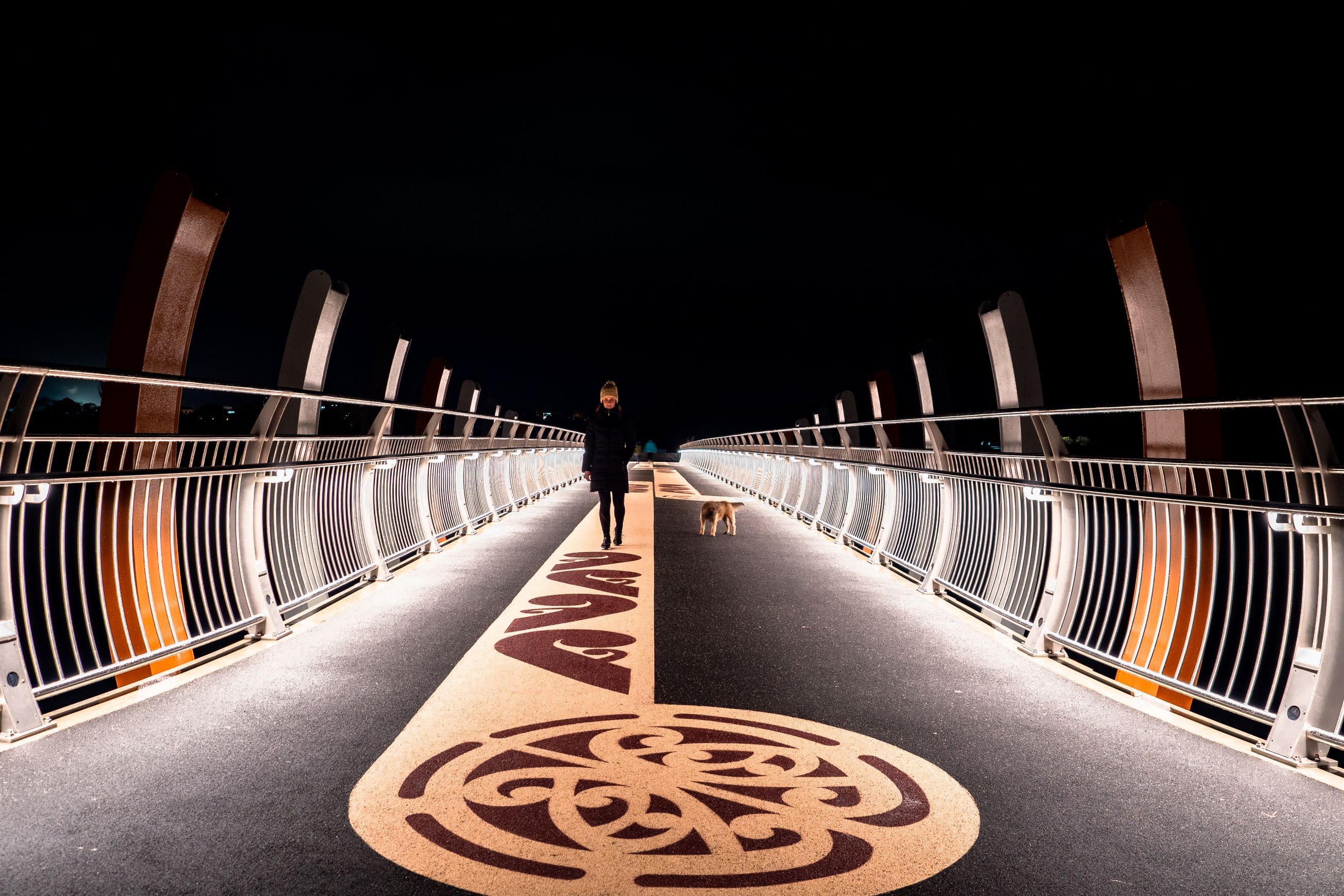 Richie Rail 26 Handrail LED Strip