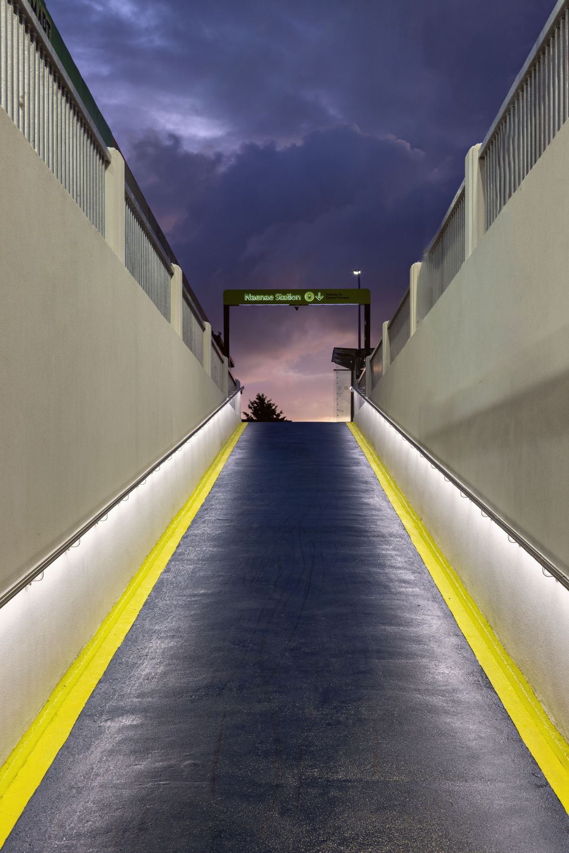 Richie Rail 20 Handrail LED Strip