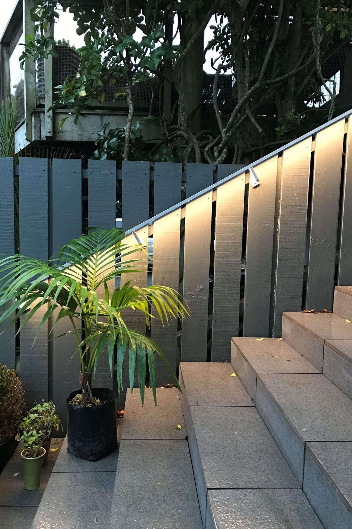 Richie Rail 17 Handrail LED Strip