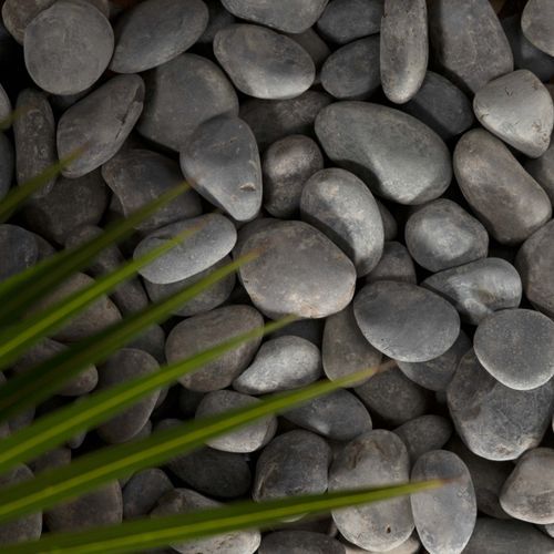Sino Black | Stone Pebbles