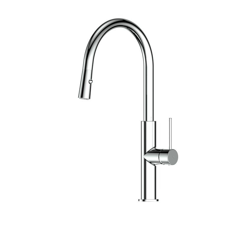 Maci Pull Down Sink Mixer