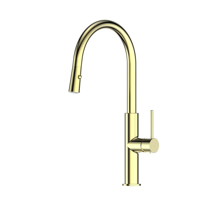 Mika Pull Down Sink Mixer