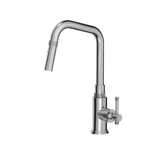 Arena Kitchen Mixer With Pull Out Spray