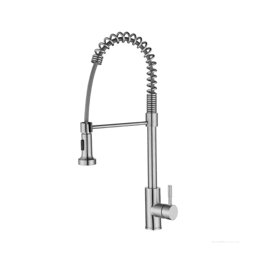 Swiss Flexi Spout Kitchen Mixer
