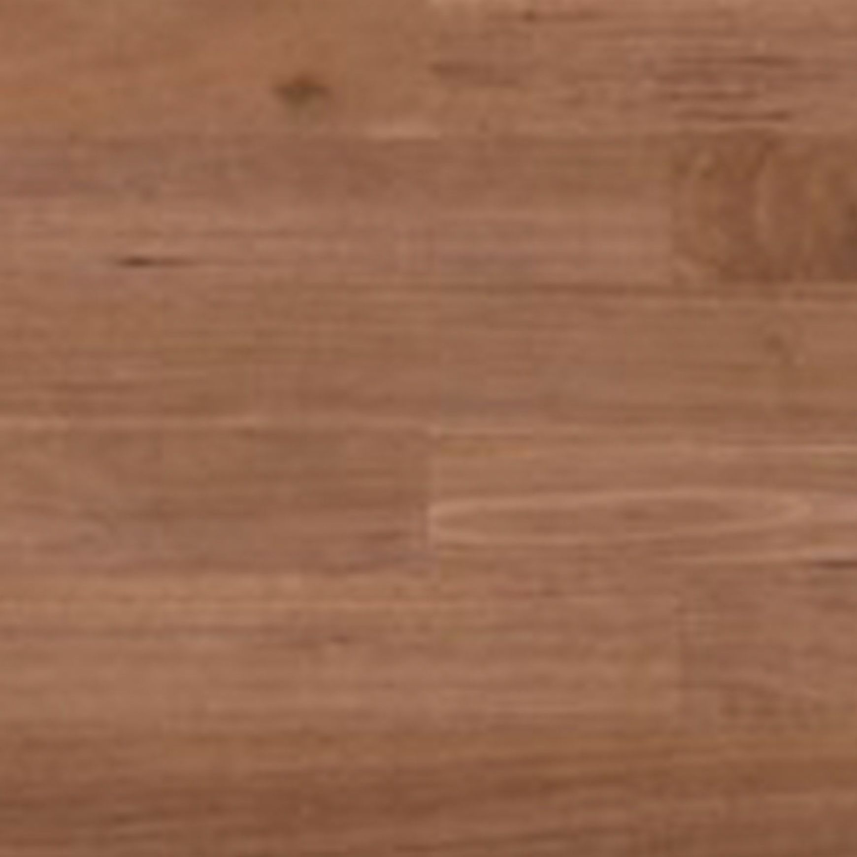 Blue Gum | Fourteen Solid Timber Flooring