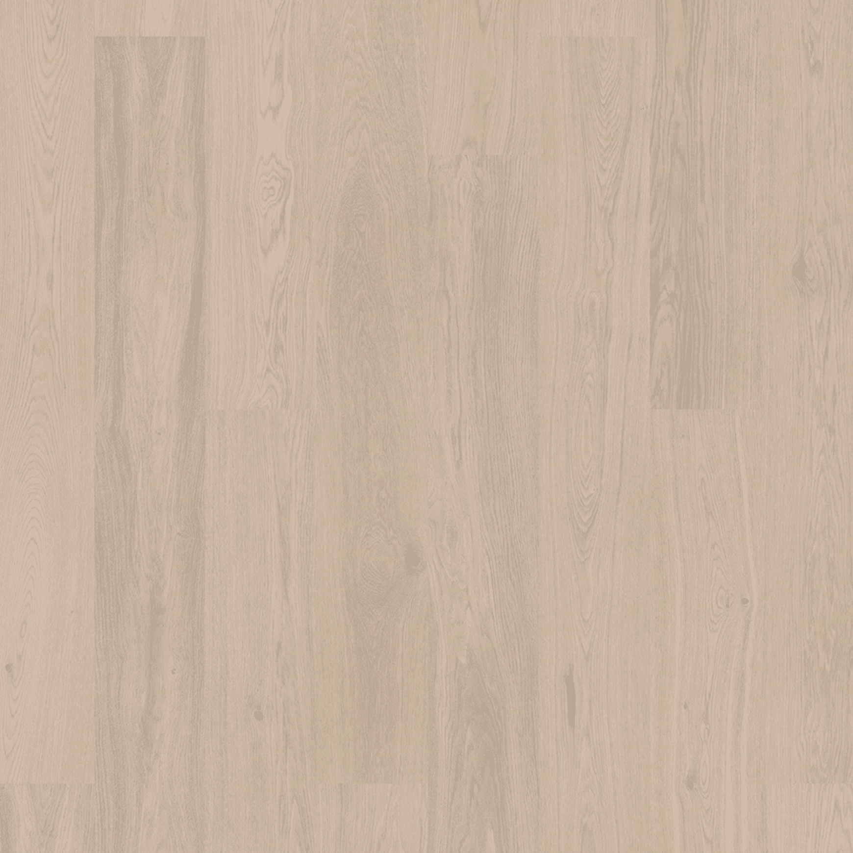 Bjelin M 151 Powder White Oak | Blend