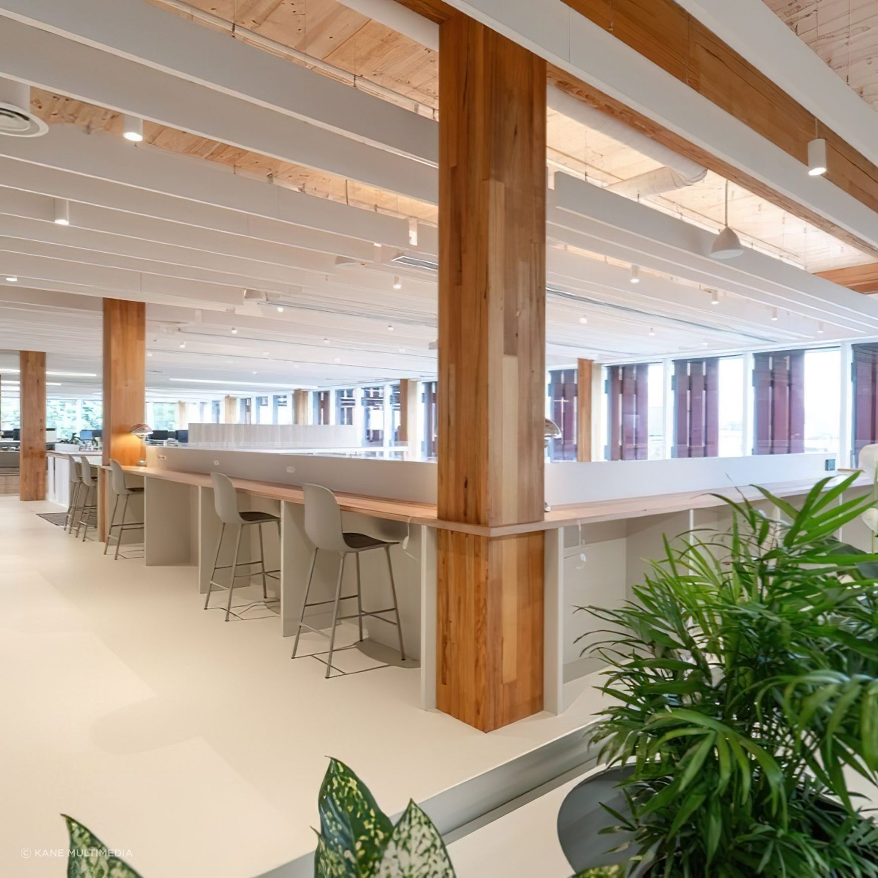 Mass Timber