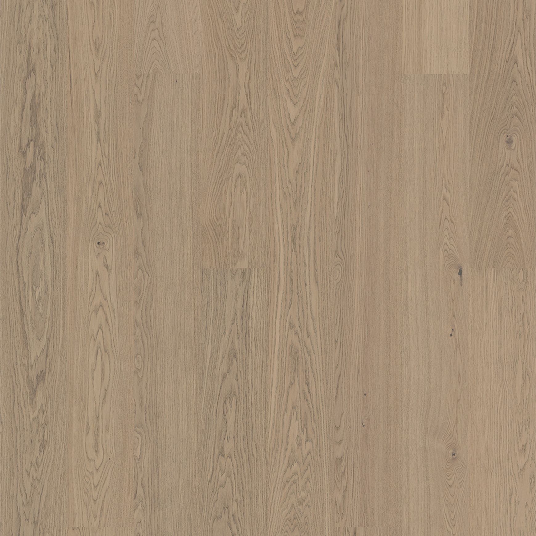 Bjelin XL Contrast Vapour | Nature Grade